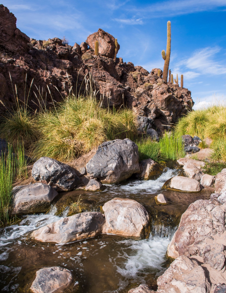 Cardones Valley Trekking