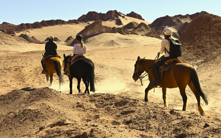Salt Mountain Range Horseback Ride